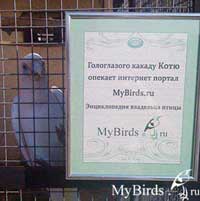 Форумчане портала MyBirds.ru в парке птиц "Воробьи"