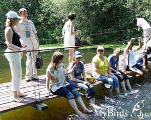 Форумчане портала MyBirds.ru в парке птиц "Воробьи" на пруду