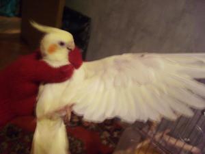 blog-10019-1203453948_thumb.jpg