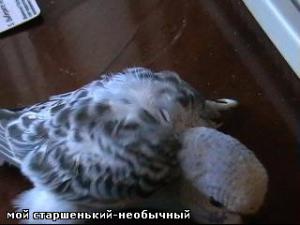 blog-11473-1255463328_thumb.jpg