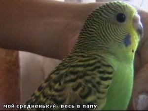 blog-11473-1255463433_thumb.jpg