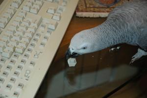 blog-11533-1201286443_thumb.jpg