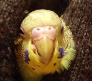 blog-11615-1199196665_thumb.jpg