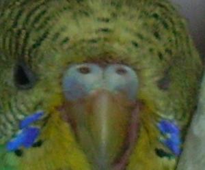 blog-11615-1199281465_thumb.jpg