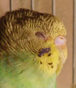 blog-11615-1199637192_thumb.jpg