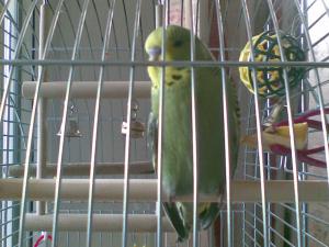 blog-11714-1263730638_thumb.jpg