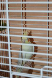 blog-11718-1198062889_thumb.jpg