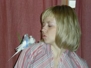 blog-11718-1214338570_thumb.jpg