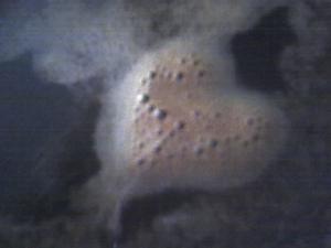 blog-11862-1227191759_thumb.jpg