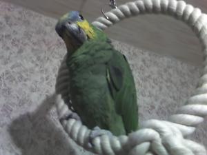 blog-11862-1232575329_thumb.jpg