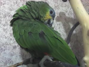 blog-11862-1232659161_thumb.jpg