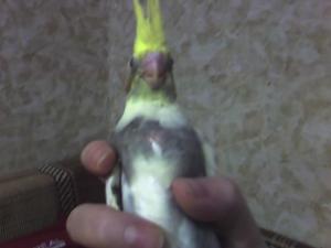 blog-11862-1236974150_thumb.jpg