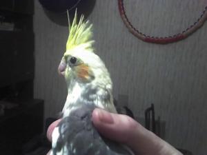 blog-11862-1237218702_thumb.jpg