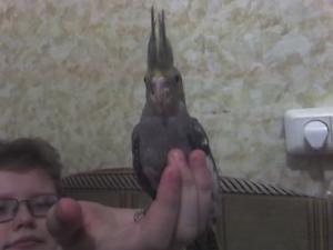 blog-11862-1237218718_thumb.jpg