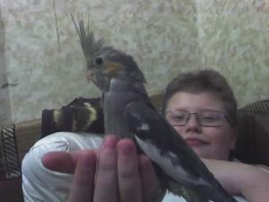 blog-11862-1237218725_thumb.jpg
