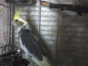 blog-11862-1237425354_thumb.jpg