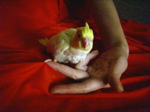 blog-11862-1248442800_thumb.jpg
