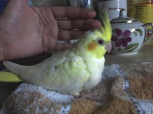 blog-11862-1248960729_thumb.jpg