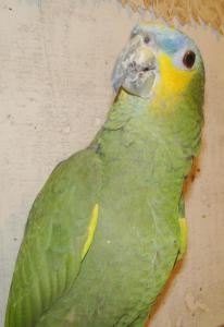 blog-11862-1264176809_thumb.jpg