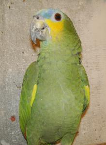 blog-11862-1264176820_thumb.jpg