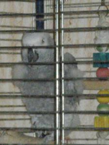 blog-11862-1316637636_thumb.jpg