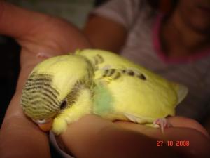 blog-12329-1229098032_thumb.jpg