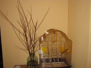 blog-12329-1230379343_thumb.jpg