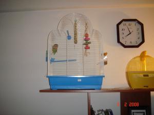 blog-12735-1202193347_thumb.jpg