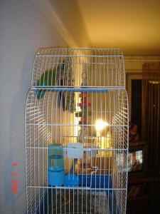 blog-12735-1202193435_thumb.jpg