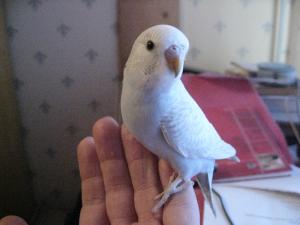 blog-13189-1275834053_thumb.jpg