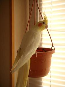 blog-13202-1201343715_thumb.jpg