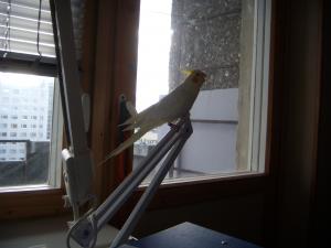 blog-13202-1220252773_thumb.jpg