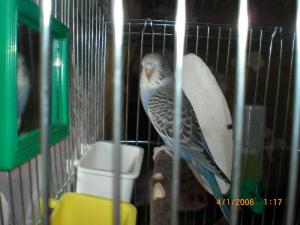 blog-13278-1212350395_thumb.jpg