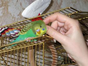 blog-14143-1207919220_thumb.jpg
