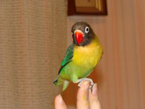 blog-14154-1257968055_thumb.jpg