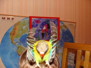 blog-14154-1257968089_thumb.jpg