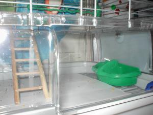 blog-14154-1259535087_thumb.jpg