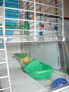 blog-14154-1259535143_thumb.jpg