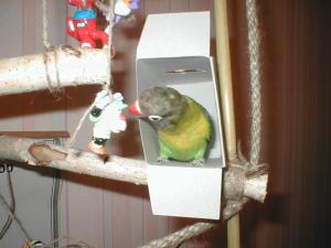 blog-14154-1264113380_thumb.jpg