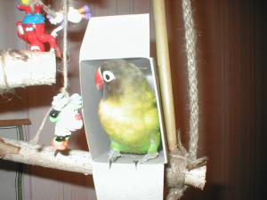 blog-14154-1264113461_thumb.jpg