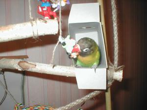 blog-14154-1264113504_thumb.jpg