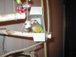 blog-14154-1264113594_thumb.jpg
