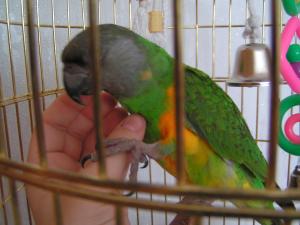 blog-14724-1240689063_thumb.jpg