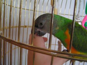 blog-14724-1240689233_thumb.jpg
