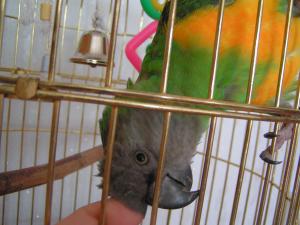 blog-14724-1240689304_thumb.jpg