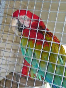 blog-14724-1242320756_thumb.jpg