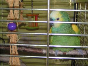 blog-14724-1242321064_thumb.jpg