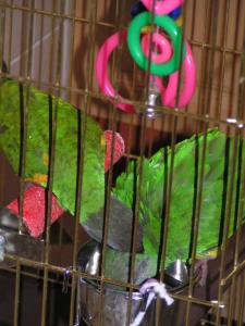 blog-14724-1252252438_thumb.jpg