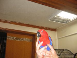 blog-14822-1296624575_thumb.jpg