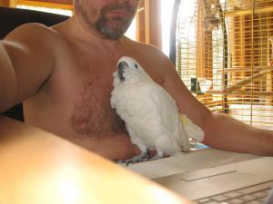 blog-14822-1296624747_thumb.jpg